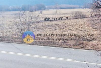 Teren Construcții intravilan de 3035 mp, în Bodești - 9