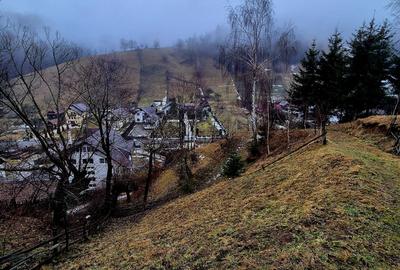 Teren intravilan Simon/Bran, 4318 mp , casuta intabulata, utilitati - 30