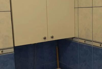 Garsonieră semidecomandată în Noua - 6