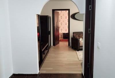 Apartament cu 2 camere semidecomandat în Tudor Vladimirescu - 9