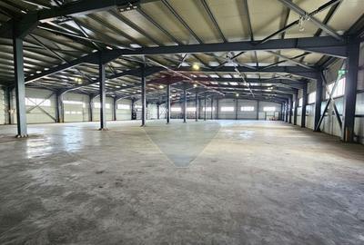 Spațiu industrial, de 9,697.3798828125 mp, în Ariceștii Rahtivani - 5
