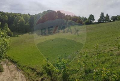 Teren 20,131 mp/Extravilan/Poiana Marului - 8