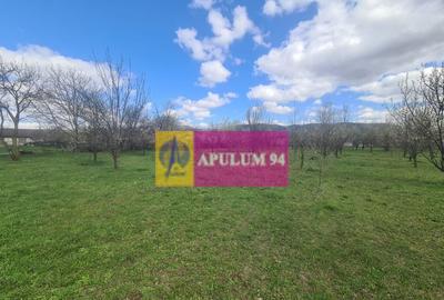 Teren de vanzare in Brebu - Zona Brebu Megiesesc - 1