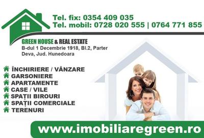 Garaj zona Micul Dallas