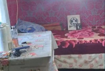 Vand casa plus pamant in sat Horia judetul Braila. Vand casa plus pamant in sat Horia judetul Braila. - 2