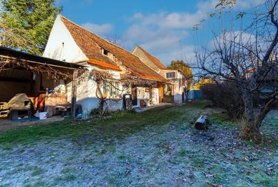 Casă cu 3 camere cu Teren 1519 Mp în Prejmer - 13