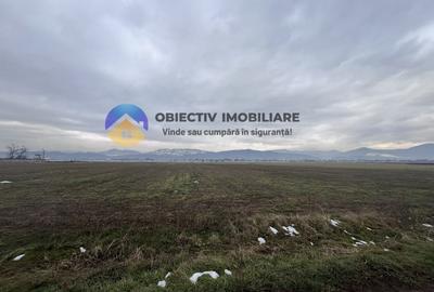 Teren agricol intravilan de 4500 mp, în Dumbrava Roșie