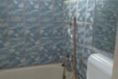 Salaj, Aleea Bacau, Parc Humulesti, 15 minute de Piata Unirii cu STB 117 - 4