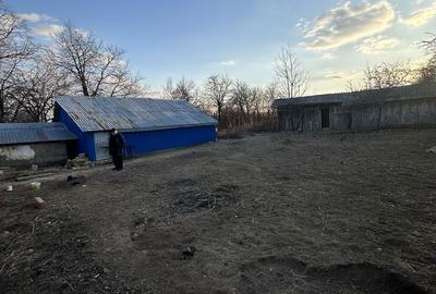 Casă cu 4 camere cu Teren 5000 Mp în Scărișoara - 1