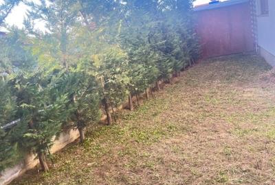 Apartament 2 camere Ghimbav - 3