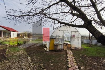 Casa curte cu teren 1600 mp Manolache - 20