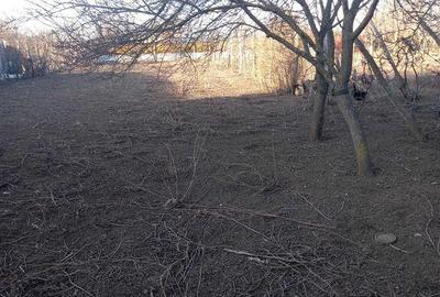 Teren de 1000 mp, în Brănești - 3