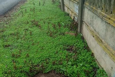 Vând casă bătrânească, sau schimb - 9