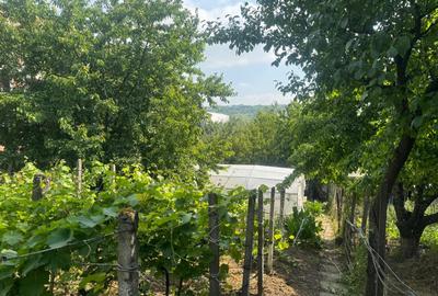 Valea Rediului ,vila tip duplex la strada principala , langa lac - 15