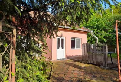 Casă cu 2 camere în Luduș - 9