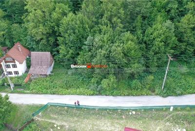 TEREN INTRAVILAN CONSTRUIBIL 400 mp | Statiunea Boga, com. Pietroasa, jud. Bihor - 3