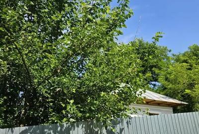 Casă cu 3 camere cu Teren 1900 Mp în Ion Creangă - 8