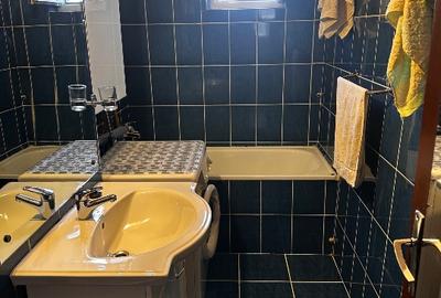 Apartament cu 2 camere semidecomandat în Gojdu - 5