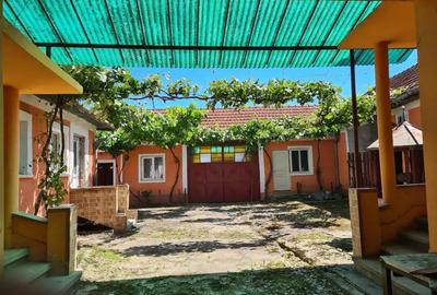 Casă cu 6 camere cu Teren 2561 Mp în Dușești - 2
