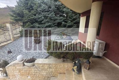Casă cu 6 camere cu Teren 825 Mp în Bucium - 13