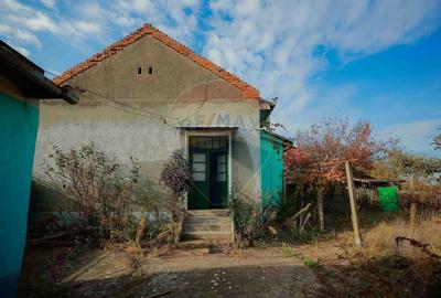 De vanzare casa cu teren de 3036 mp in Bors - 12