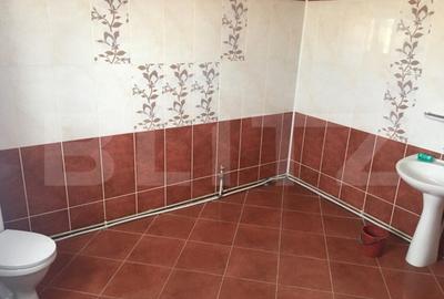 Casă cu 5 camere cu Teren 1700 Mp în Ulmi - 7