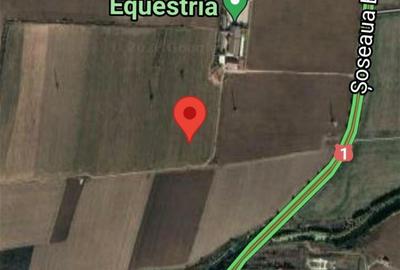 Teren de 12500 mp, în Săftica - 1