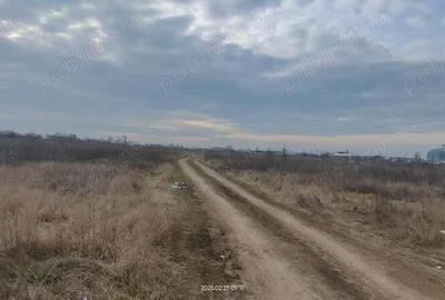 Teren intravilan de casa in Sacalaz de vanzare Teren intravilan de casa in Sacalaz de vanzare - 3