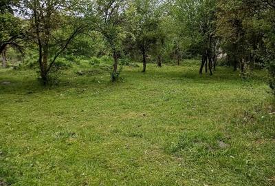 Teren de 1860 mp, în Valea Unghiului - 5