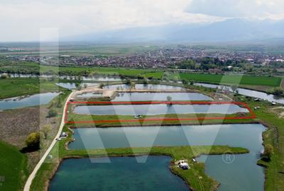 Teren Extravilan cu lac - Investitie in Natura si Agrement | 35.251 mp - 4
