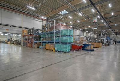 Hală industrială 5.000–12.000 mp de închiriat, Ghimbav - 16
