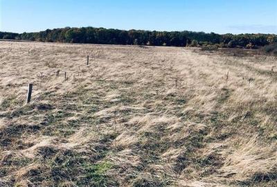 RECO Teren intravilan Cihei - 4