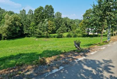 Teren de 2837 mp, în Exterior Vest - 4