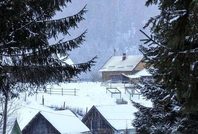 Casa batrineasca - 1