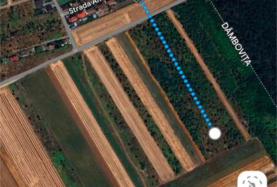 Teren agricol extravilan de 2465 mp, în Tărtășești - 4