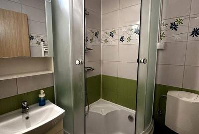 Apartament cu 3 camere, mobilat în Ultracentral - 12