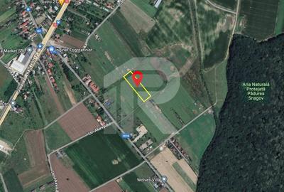 LOTURI TEREN 600-1000 mp | toate utilitatile | IZVORANI
