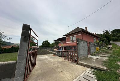 Zau de Campie, judetul Mures - 8