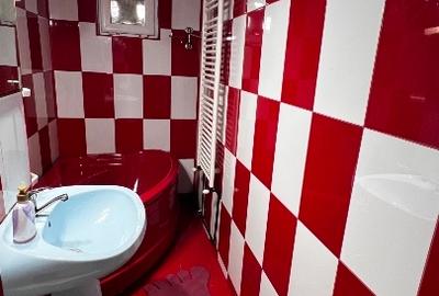 Apartament cu 2 camere semidecomandat în Central - 5