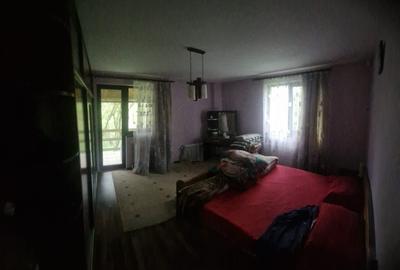 Casă cu 4 camere cu Teren 6000 Mp în Bezdead - 30