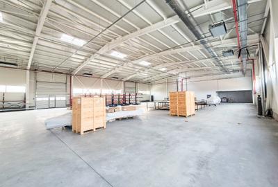 Hale,spatii industriale Albota,Pitesti Arges Hale,spatii industriale Albota,Pitesti Arges - 13