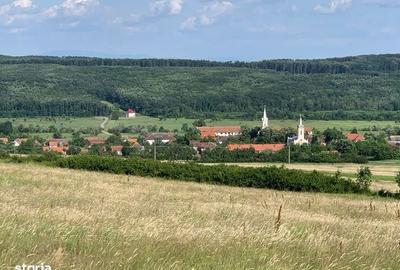 Teren de 580 mp, în Brestovăț - 1