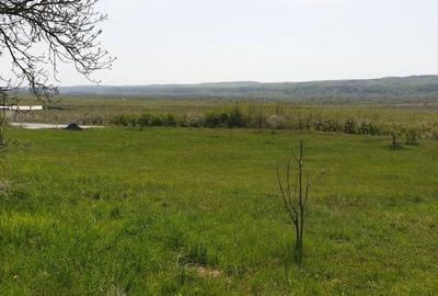 Teren de 2298 mp, în Izvoarele - 1