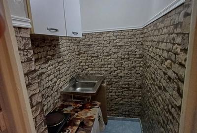 Apartament cu 1 camera, etajul 2/9,  zona Podu Ros - 4