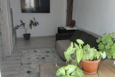 Apartament cu 2 camere semidecomandat în Craiovița Nouă - 3