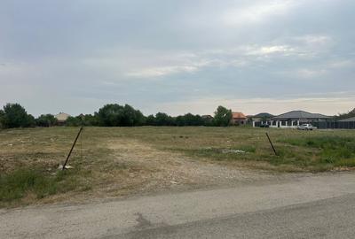 Ocazie! Teren 6.000 mp cu toate utilitățile – Săcălaz, zonă excelentă - 4