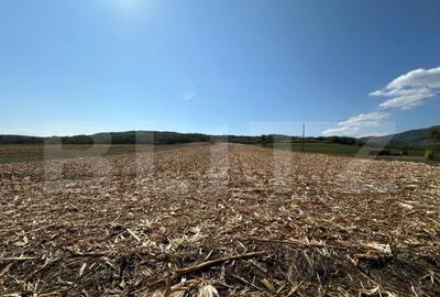 Teren intravilan de vanzare 14000mp,ideal pentru investitie, - 4