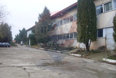 Spațiu industrial, de 800 mp, în Sud - 1