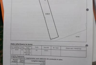 Teren de 40181 mp, în Dascălu