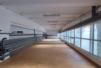 Hala industriala - 384mp - zona industriala Sud - str. Repub - 7